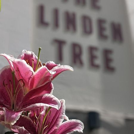 Bed and Breakfast Linden Tree Gloucester Exterior foto