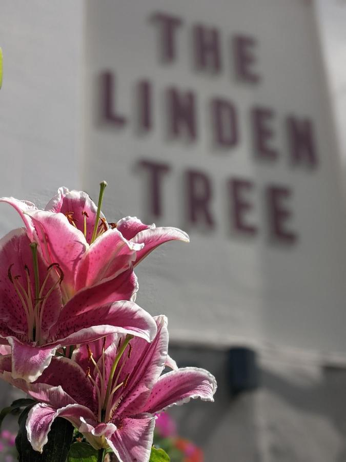 Bed and Breakfast Linden Tree Gloucester Exterior foto